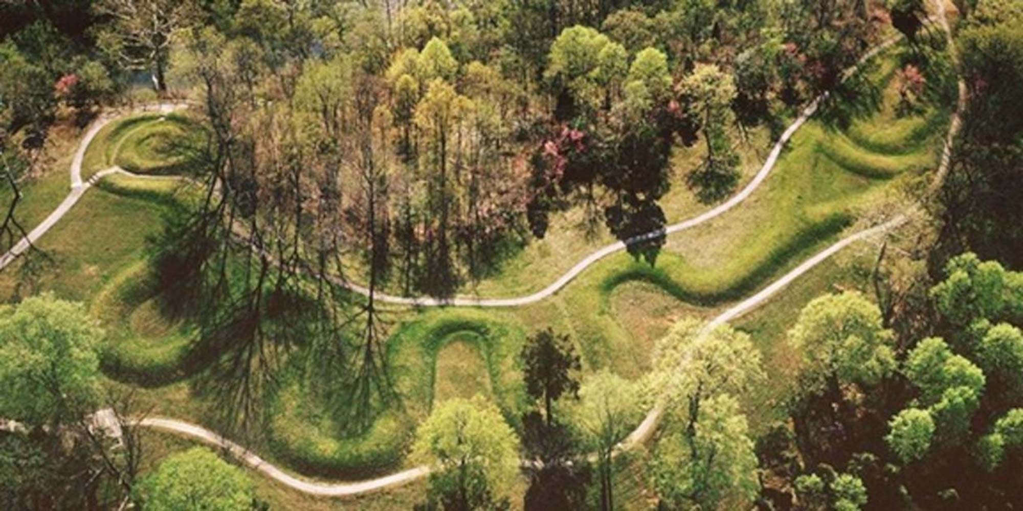 <p>Great Serpent Mound Artist</p>