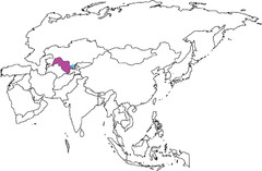 <p>central asian (muslim)</p>
