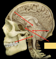 <p>What is the highlighted section pointing to?</p>