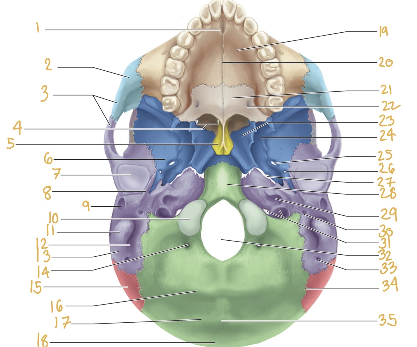<p>Label 11</p>