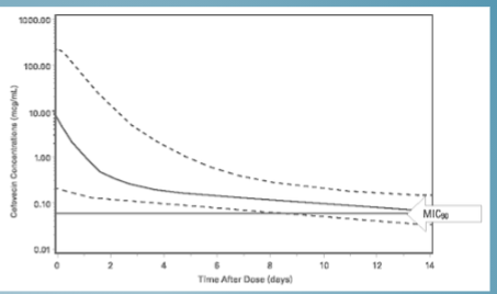<p>can affect</p><ul><li><p>tissue penetration</p></li><li><p>volume of distribution</p></li><li><p>half-life</p></li><li><p>elimination </p></li></ul><p>reduces free fraction of drug available for bacterial killing</p><p>reveraible</p><p>PP binding important for some drugs and allows them to be long acting - good for B-lactams</p><p>cefovecin ~97% PP binding in dogs and 99% in cats</p><p>excreted unchanged in urine - only unbound fraction </p><p></p>