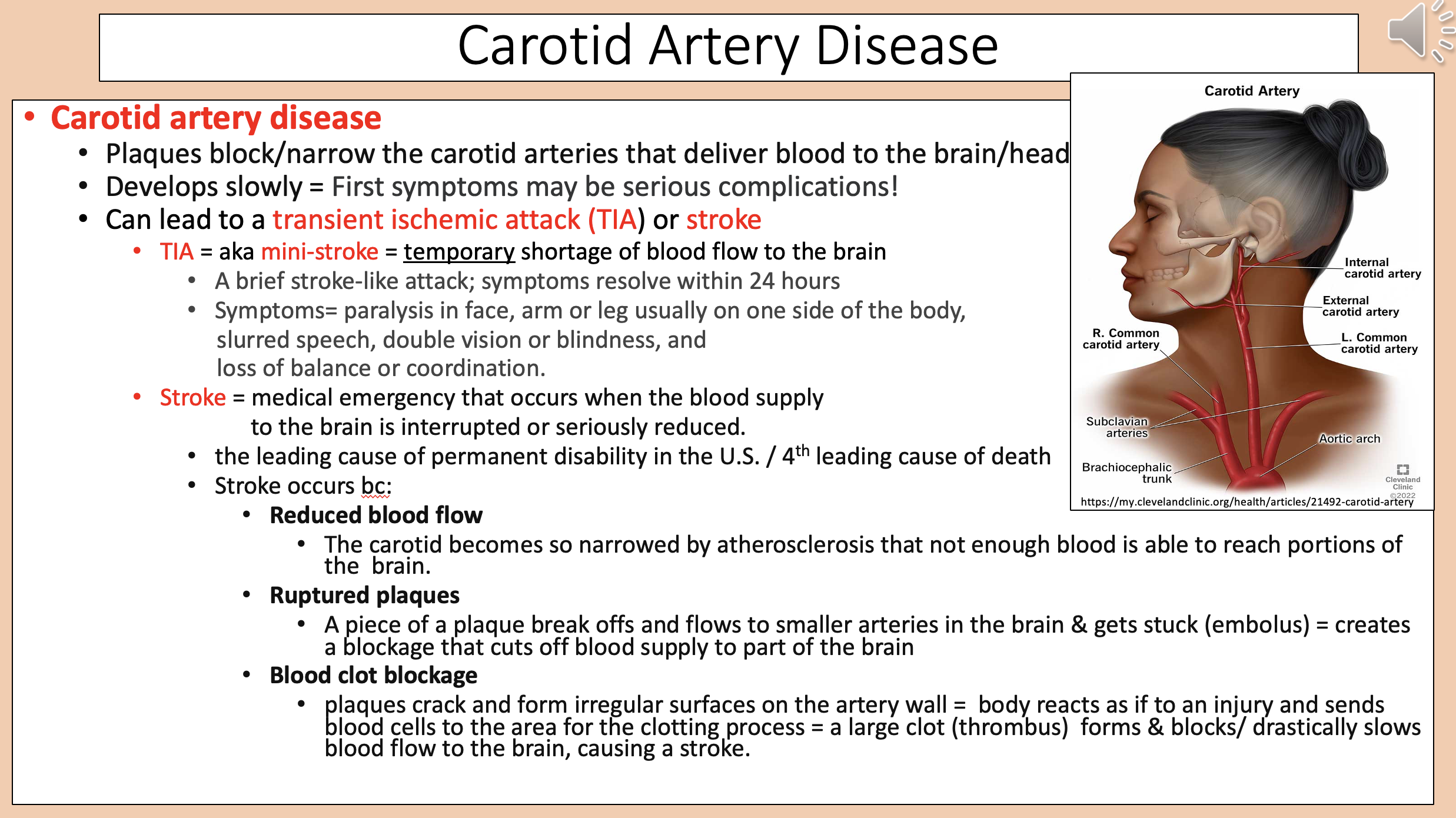 <p><span style="color: rgb(17, 17, 17);">blood clot blockage</span></p>