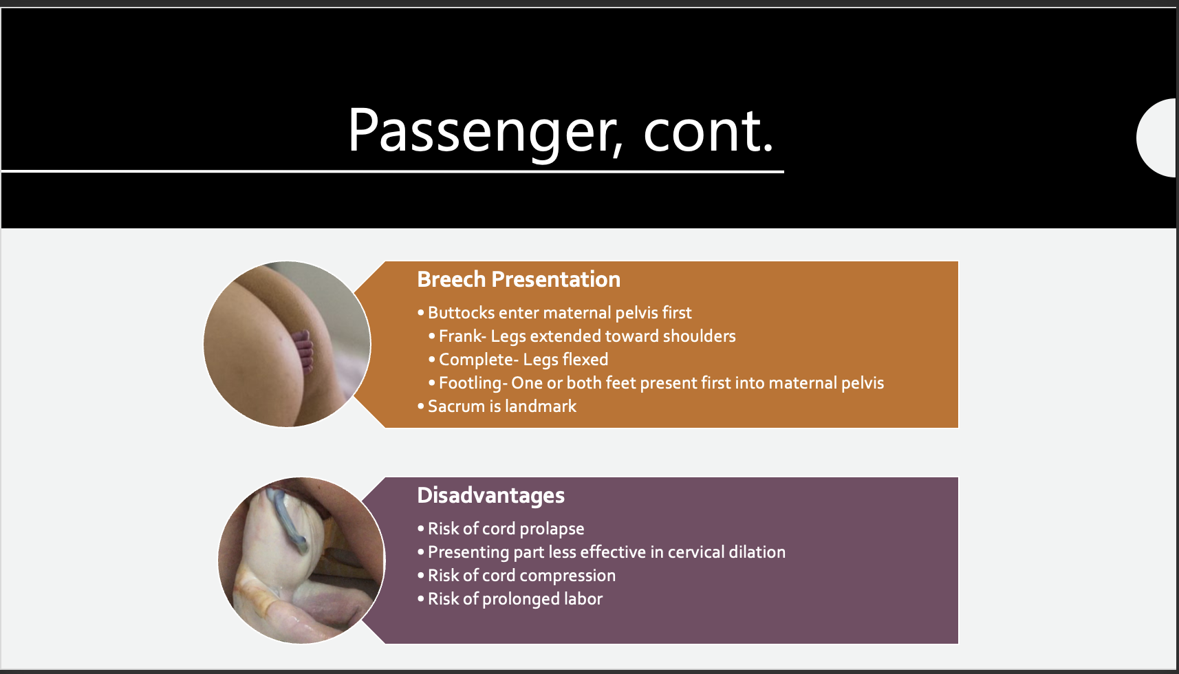 <p>Passenger, cont. </p>