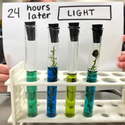 <p>Name the gases present for each tube</p>