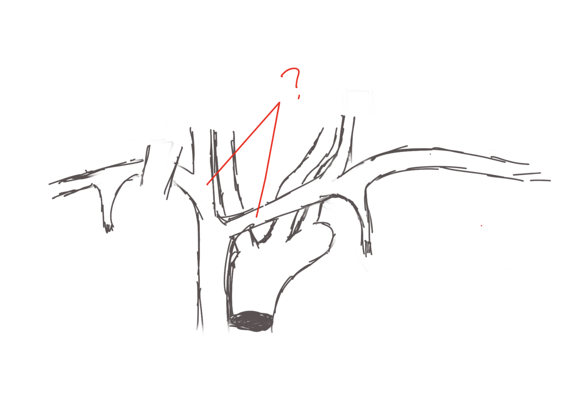 <p>The thicker one (start of S3)</p>