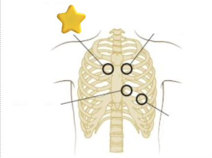 <p>What is this?</p>