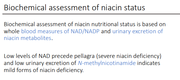 <p> NAD; N-methylnicotinamide</p>
