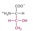 <p>What Structure is this?</p>