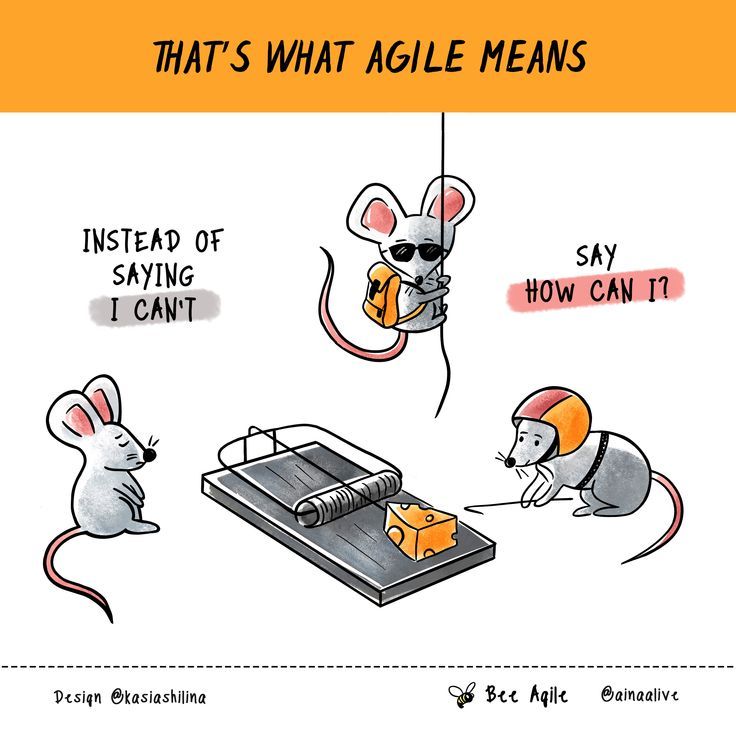 <p>Agile (adjective)</p>