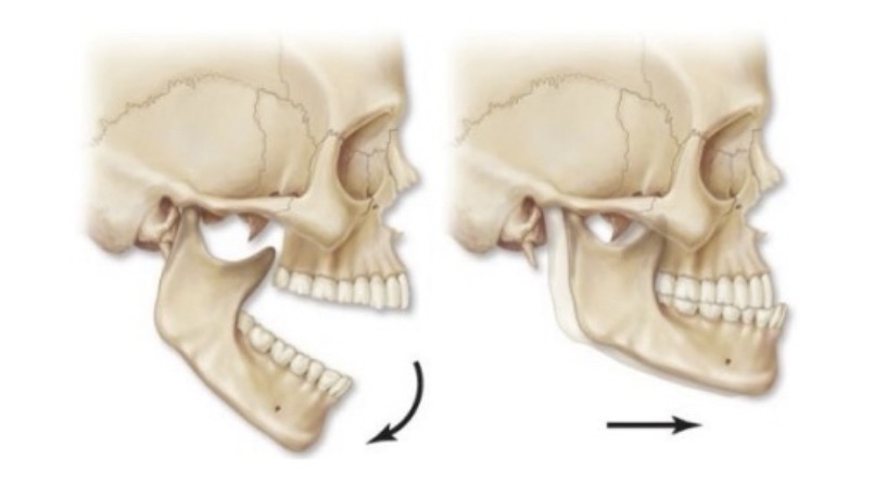 <p>name the joint and articulations</p>