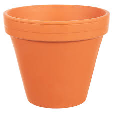 <p><span>chậu hoa, chậu cây</span></p>