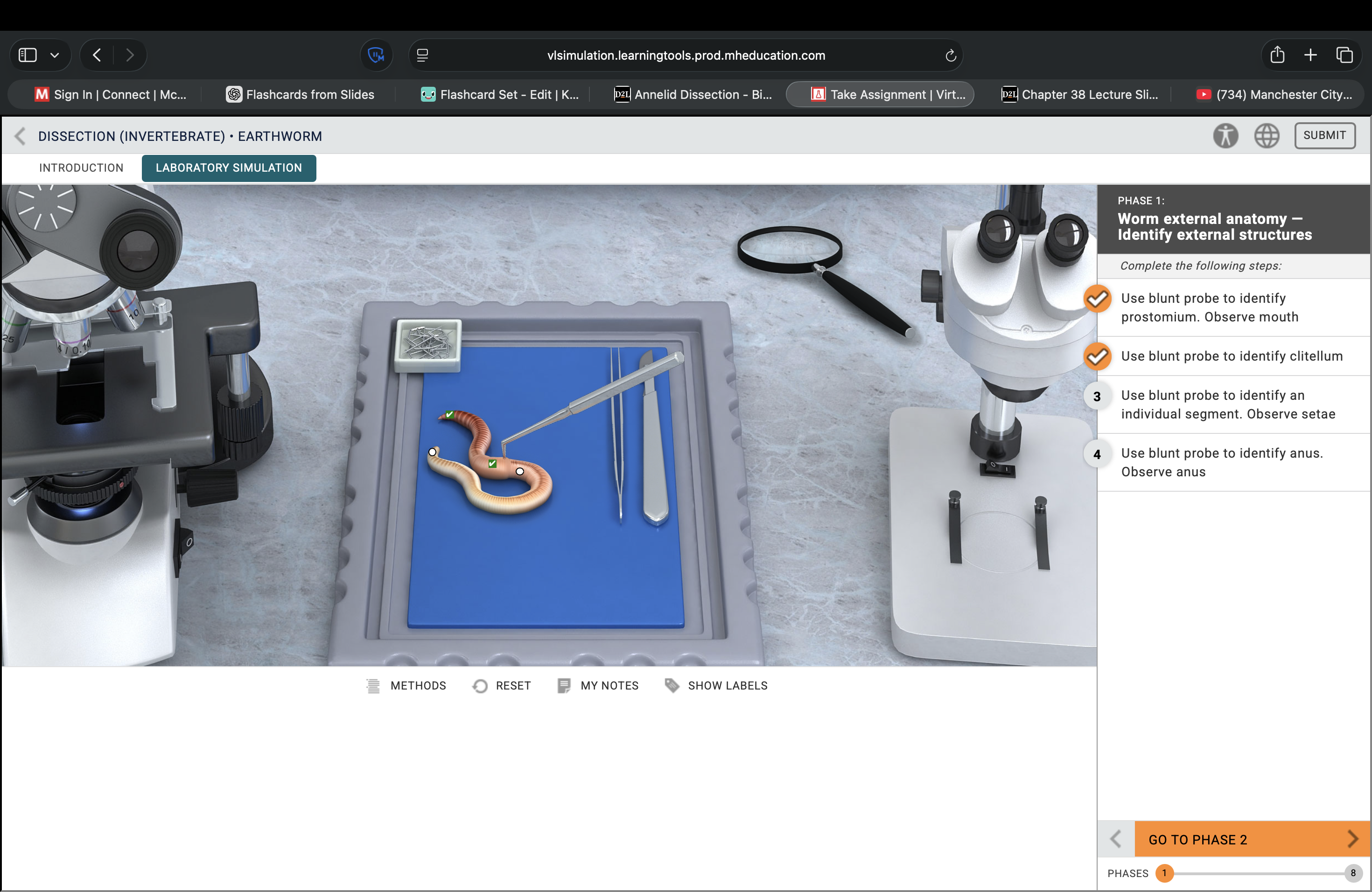 <p>What structure is this pointing to?</p>