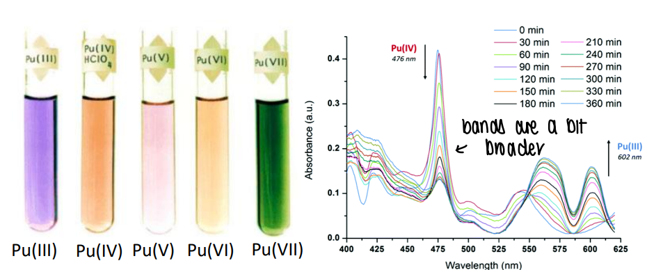 <p>As the 5f orbitals are more spatially extended, they can interact with ligands and cause some breakdown of the symmetry selection rule.</p><p>Actinides will have broader and more intense absorption than lanthanides, becoming more similar to 3d TMs.</p>