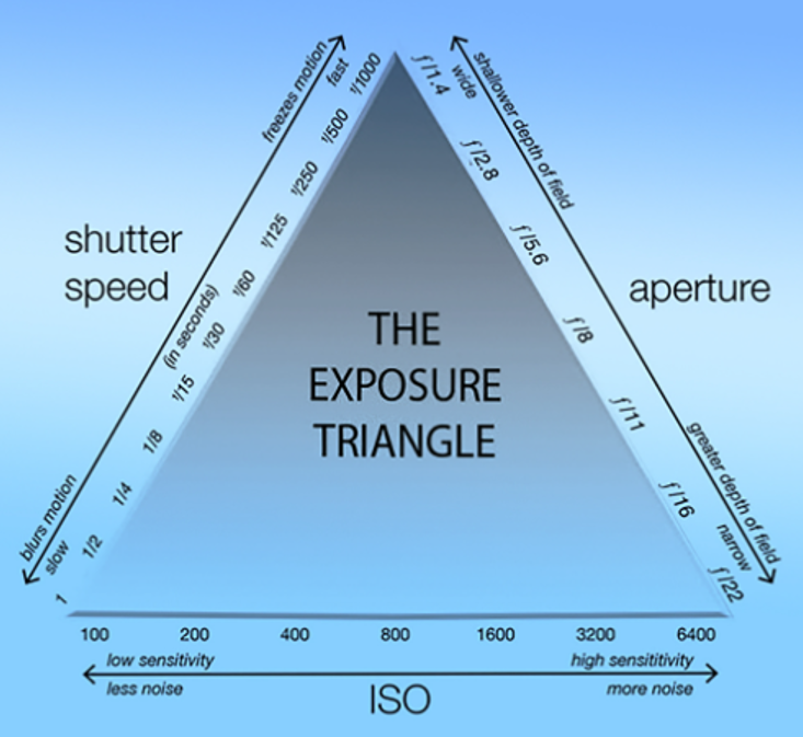 <p>The total amount of light that reaches the camera’s sensor determining how bright or dark an image appears</p><ul><li><p>Controlled by Aperture, Shutter Speed &amp; ISO</p></li></ul><p></p>