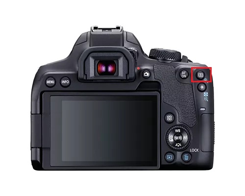 term image