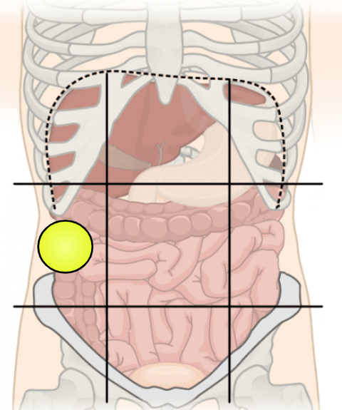 knowt flashcard image