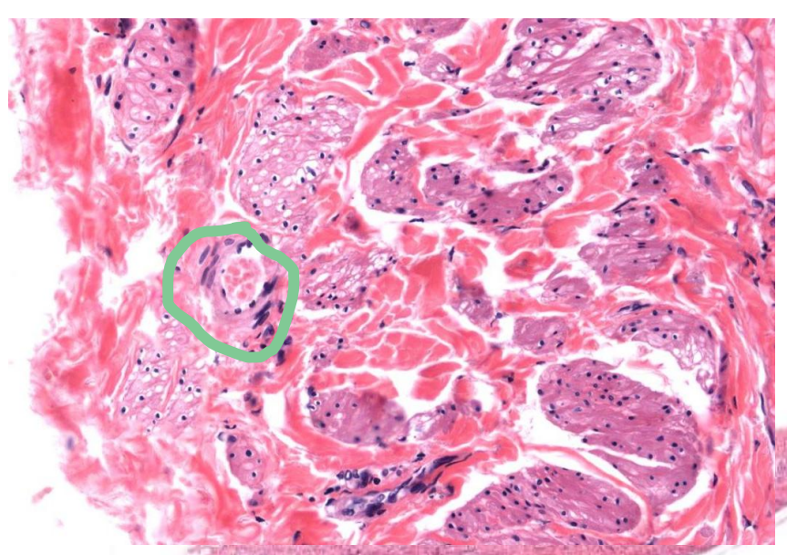 <p>Identify this</p>