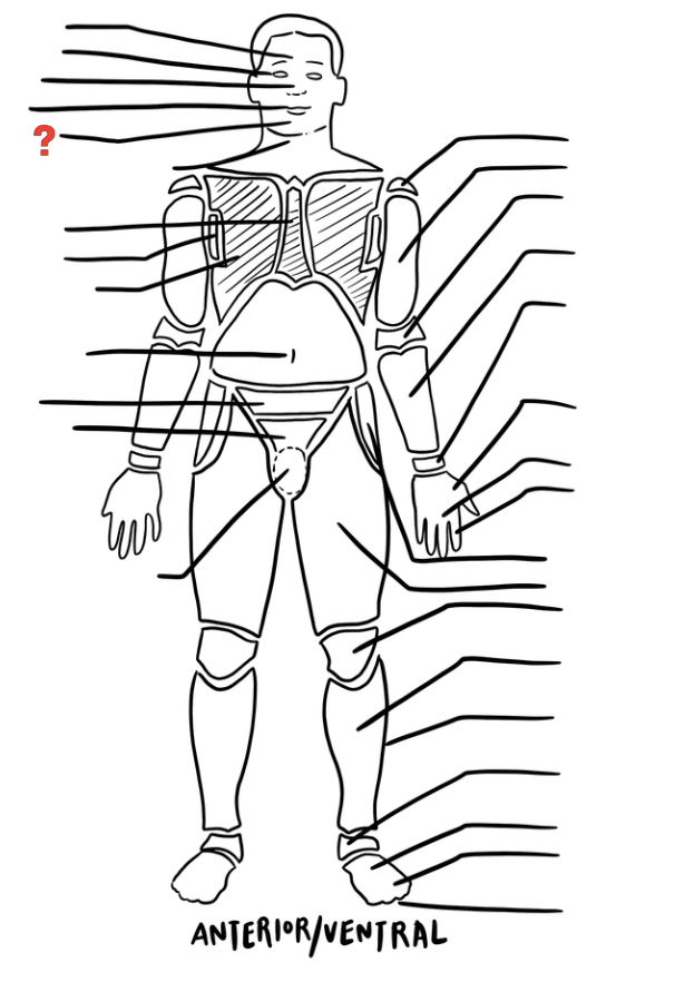 term image