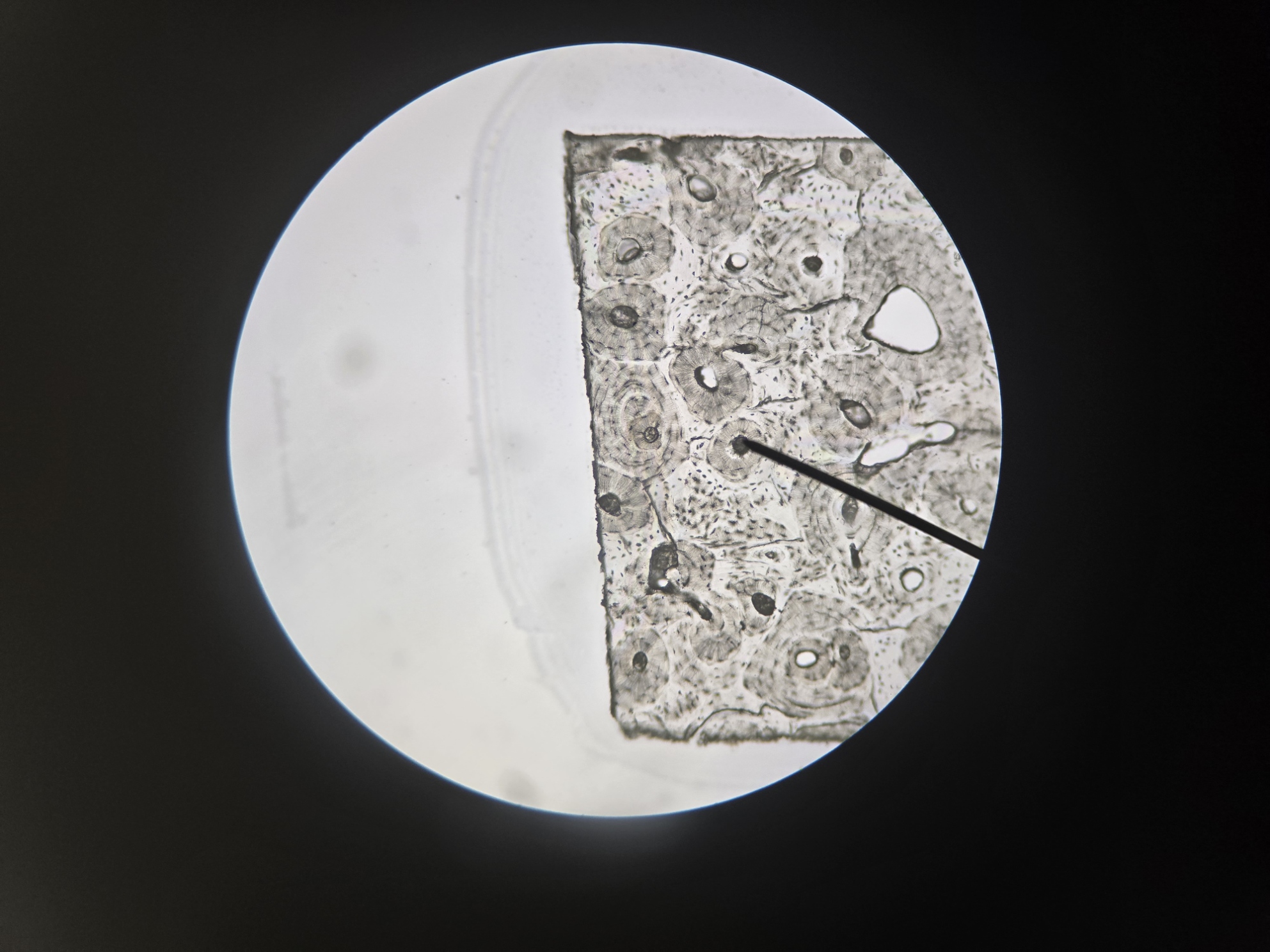 <p>Name Structure</p>