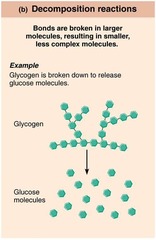 <p>Reactions involve breakdown of a molecule into smaller molecules or its constituent atoms</p>