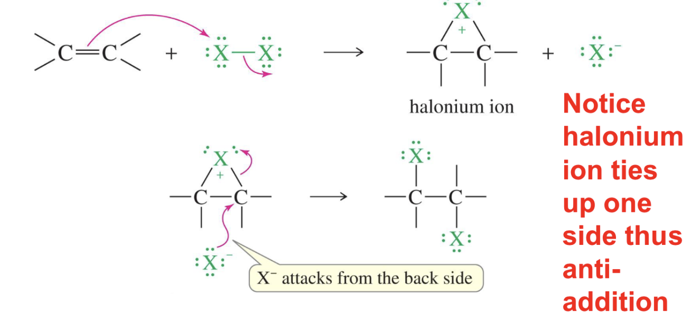 <p>antiaddition, intermediate is a three-membered ring (halonium ion).</p>