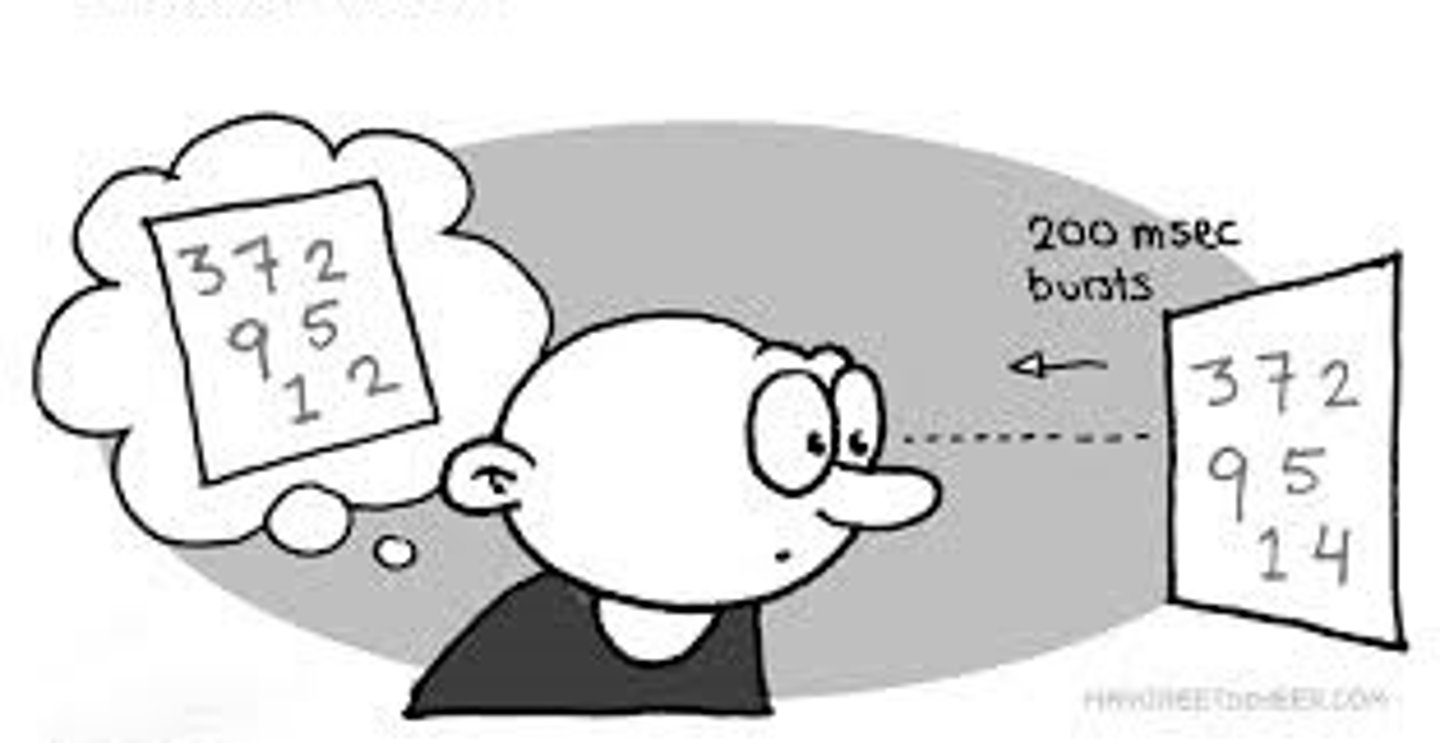 <p>visual sensory memory (less than 1 second)</p><p>(you can glimpse an "icon")</p>