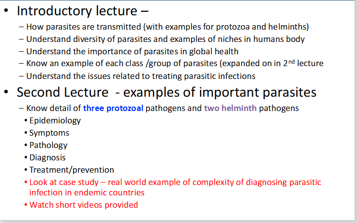 <p>SUMMARY OF LEARNING</p>