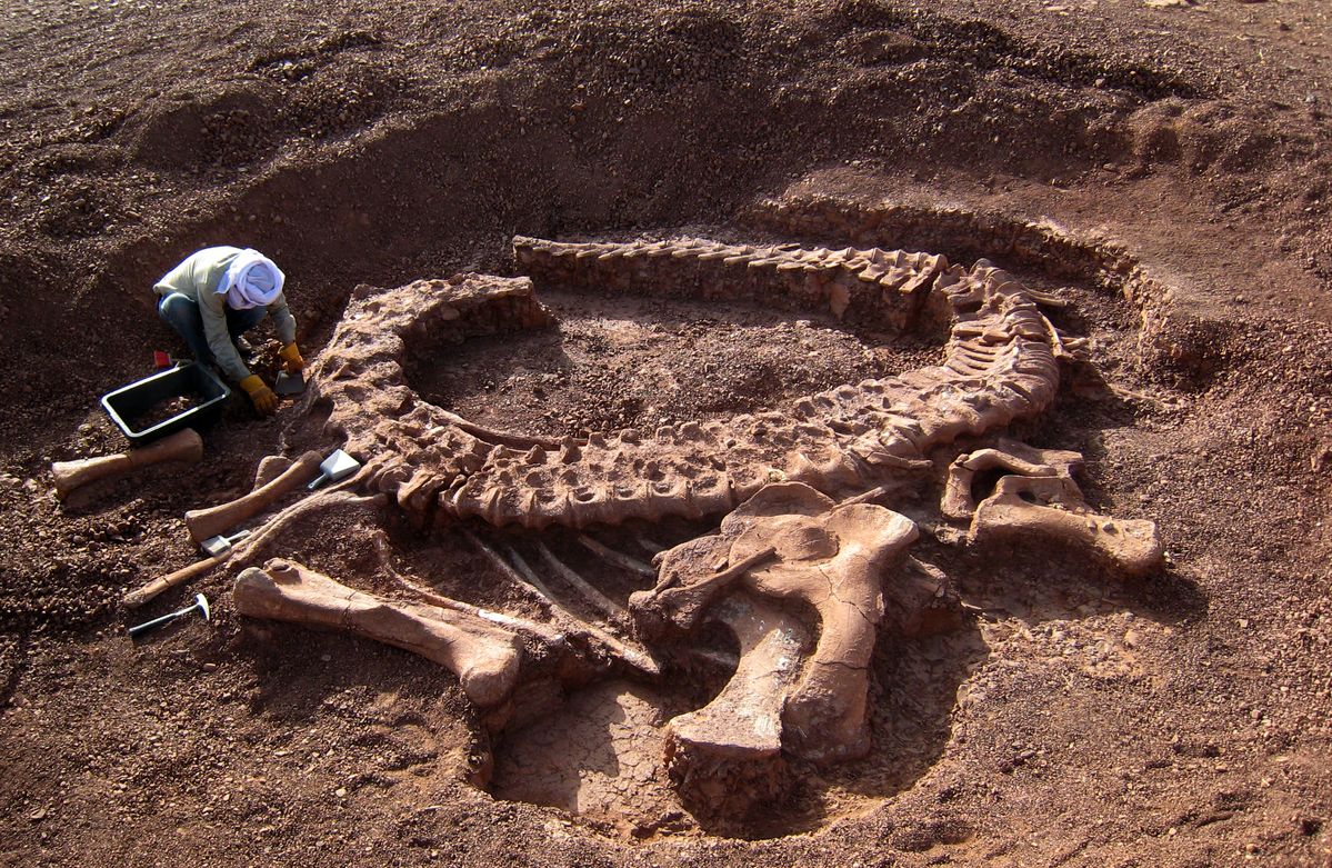 <p>A major breakthrough in … occurred when the team unearthed a nearly complete theropod skeleton embedded in the limestone. (nghiên cứu về hóa thạch)</p>