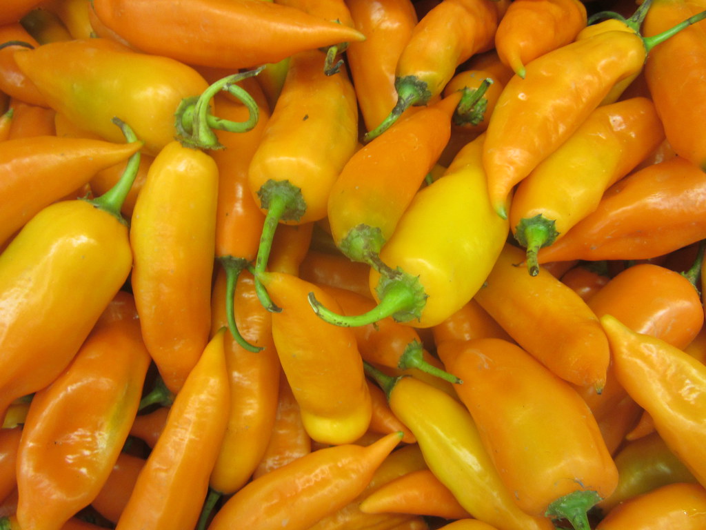 <p>Peru's signature yellow chilli, fruity and moderately spicy, serving as the backbone of many Peruvian sauces.</p>