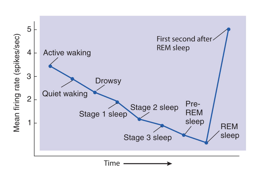 <p>what does this graph show?</p>