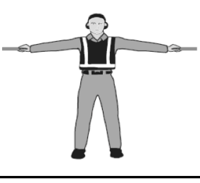 <p>¿Qué significa esta señal?</p>