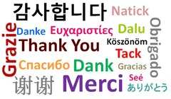 <p>foreign languages</p>