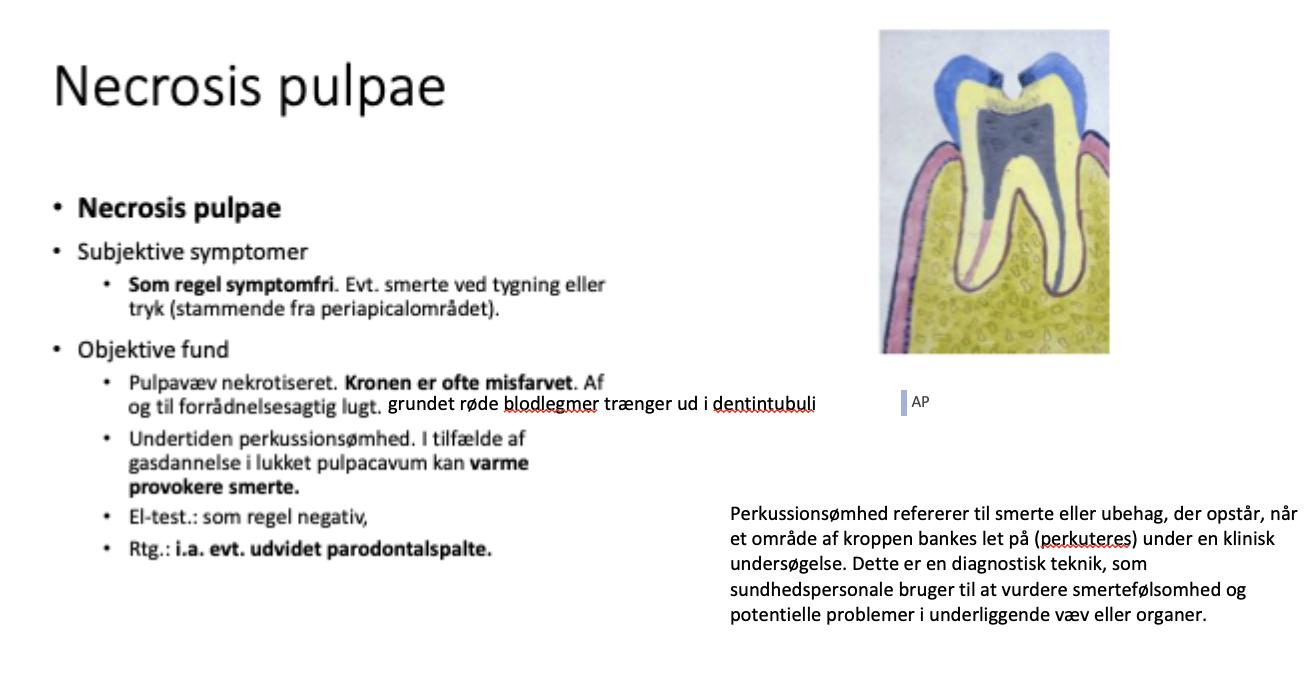 <p>Necrosis pulpae:</p><ul><li><p><span>Større cariesangreb --> pulpa dør</span></p><ul><li><p><span>Som regel symptomfri ift. smerte</span></p></li><li><p><span>Misfarvet gråblålig, mørk rod</span></p></li><li><p><span>Percussionsøm=når man banker let på tanden med instrument gør det ondt</span></p></li><li><p><span>Udvidet parodontalspalte, men ingen apikal opklaring</span></p></li></ul></li></ul><p></p>