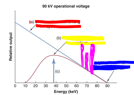 <p>The blue is the ___</p>