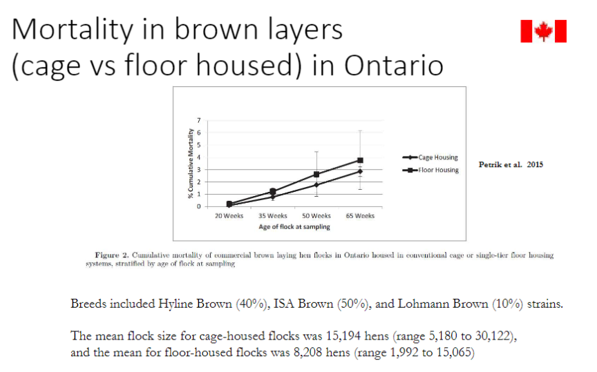 <p><strong>Breeds Studied</strong><br>ā<strong>Hyline Brown</strong> 40%<br>ā<strong>ISA Brown</strong> 50%<br>ā<strong>Lohmann Brown</strong> 10%</p><p><strong>Flock Sizes</strong><br>ā<strong>Cage-housed flocks:</strong> mean 15,194 hens (range 5,180ā30,122)<br>ā<strong>Floor-housed flocks:</strong> mean 8,208 hens (range 1,992ā15,065)</p><p><strong>Key Point</strong><br>āCage-housed flocks tend to be <strong>larger</strong>, while floor-housed flocks are <strong>smaller</strong>, which may influence <strong>mortality and management practices</strong></p>