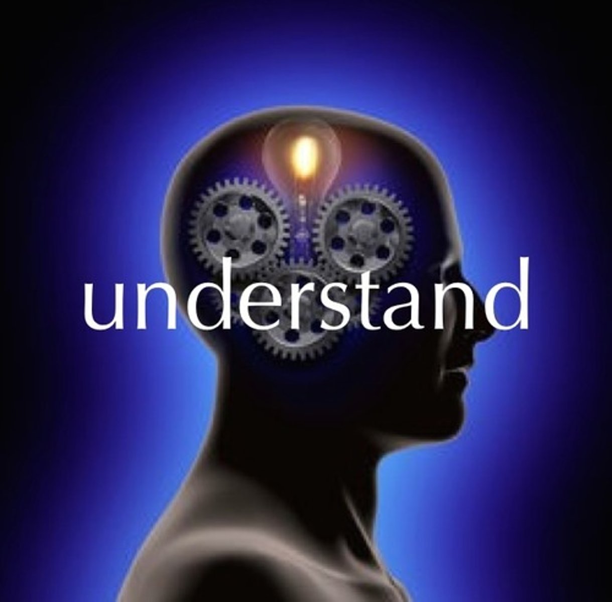 <p>(dǒng)</p><p>to understand</p>