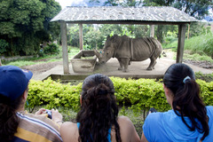 <p>zoo</p>