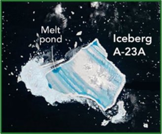 <p>The longest-lasting iceberg in recorded history; calved from antarctica in 1986 and became grounded on the seafloor until 2011, then started drifting northward through warmer waters. </p><p></p>