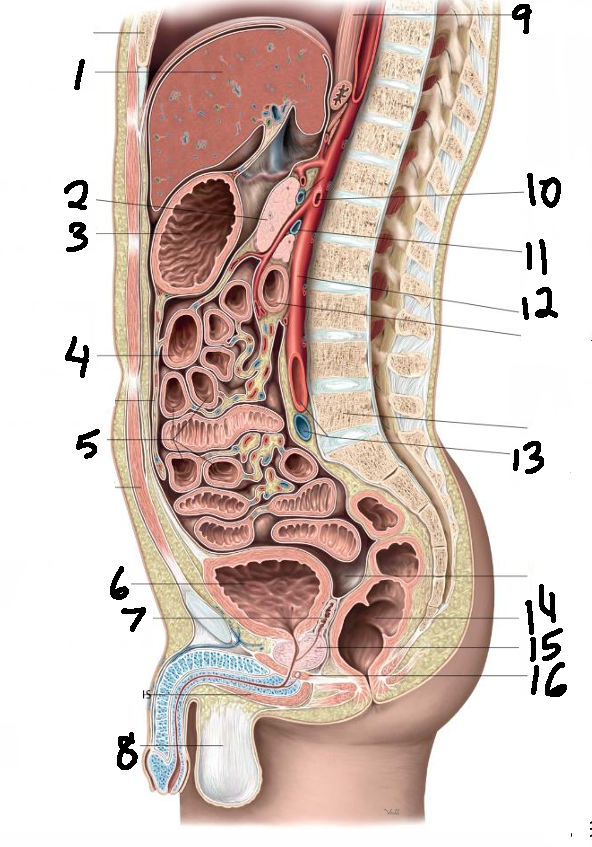 <p>1</p>