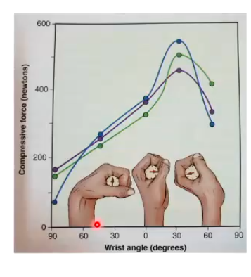 <ul><li><p>extensors allo rist flexors to be at a good length to contract (not too shortened)</p></li></ul><p></p>