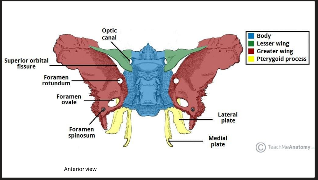 knowt flashcard image