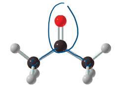 <p>carbonyl group, only carbon that are bonded to carbonyl C </p>
