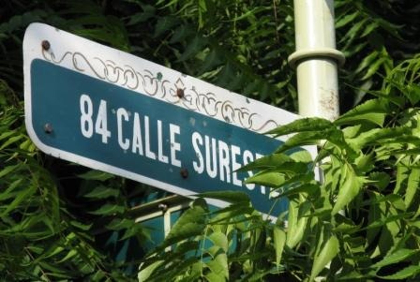 <p>84</p>