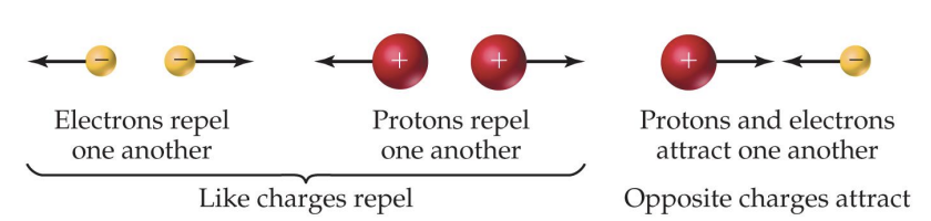 <ul><li><p>Opposite electrical charges attract each other</p><ul><li><p>The negative charged electrons are held near the positively charged nucleus</p></li></ul></li><li><p>Like charges repel each other </p><ul><li><p>The electrons try to get as far away from one another as possible </p></li></ul></li></ul><p></p>