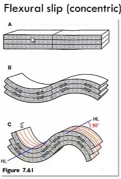 <p>layers slide past one another along bedding planes like deck of cards, producing parallel folds where layer thickness remains constant when measured perpendicular to bedding</p>