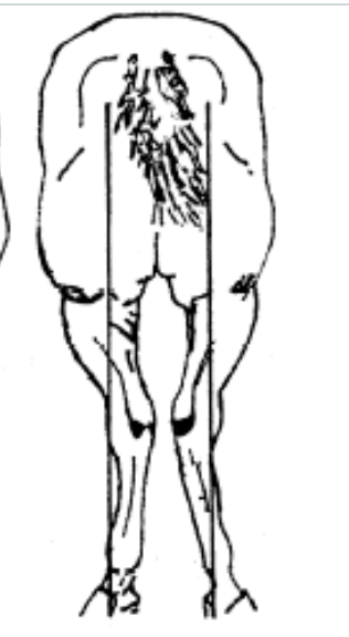 <p>what is this an image of</p>