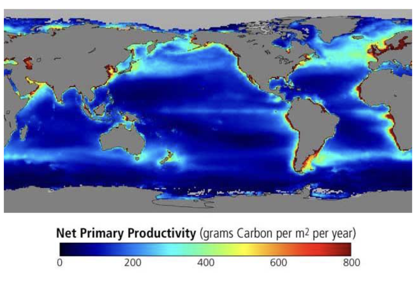 <p>Primary productivity: In marine environments, the most productive areas are:</p><ul><li><p>COASTAL ZONES due to nutrient runoff, sunlight throughout shallower waters </p></li><li><p>Parts of the ocean where UPWELLINGS from the deep ocean return nutrients to the surface layers where photosynthetic activity occur </p></li></ul><p></p>
