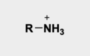 <p>R — N<sup>+</sup>H<sub>3</sub></p>