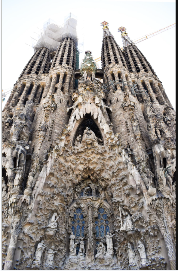 term image