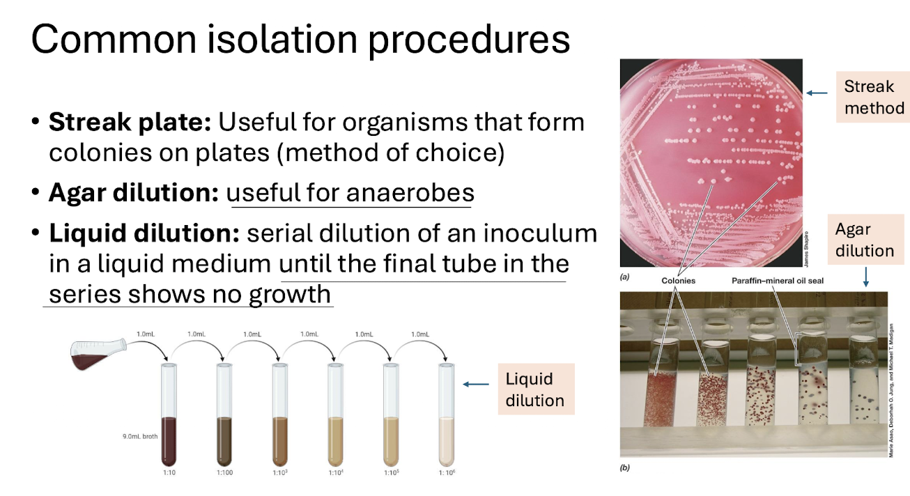 <ul><li><p><span><strong>Streak plate</strong> — isolates colonies on solid media.</span></p></li><li><p><span><strong>Agar dilution</strong> — useful for anaerobes.</span></p></li><li><p><span><strong>Liquid dilution</strong> — serial dilution until no growth.</span></p></li></ul><p></p>